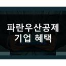 파란우산 - 서구 완정로34번길 22 | 파란우산