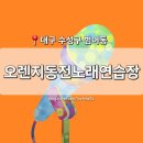 동전노래연습장 | [대구 수성구] 범어동 동노 &#39;오렌지동전노래연습장&#39; 범어역 수성구청역 코노