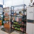 댕댕클럽 이미지