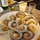 [정동진맛집/회] 정동진 밤바다 보면서 회먹는 &#39;전망대횟집&#39; (내돈내산/솔직후기)