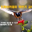 [모집]2024년 숲생태 조류아카데미 하반기 교육생 모집 이미지