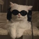 더글라스광천점 이미지