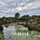비오는 날 제주도 여행 제주 동화마을 방문 후기 &amp; 도토리숲 제주점