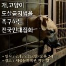 [생중계 예고] 오늘 오후 2시 세종문화회관 앞 '개.고양이 식용 종식을 위한 입법' 촉구 집회. 이미지