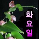 26.10.27.화요일. 끝말잇기 (화)로시작해요 ! 이미지