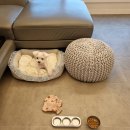 다모아공인중개사사무소 이미지