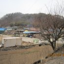 주식회사 도담바이오