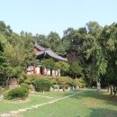 GS25 뉴의정부용현점 | 2024년 8월 8일 국내 웰니스 소식