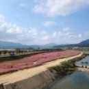 정월골프클럽 | 김천여행 당일치기 코스｜PAR3 첫 도전, 김천핑크뮬리 강변공원 그리고 META 1976