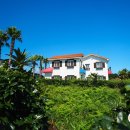 라임민박 이미지