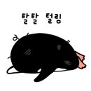 강릉베스트샵 이미지
