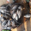 석곡낚시터 이미지