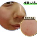 아토러브편백숲