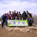 동산애 이미지