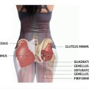바디밸런스3.0 필라테스 이미지
