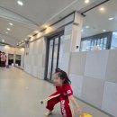 태양태권도 이미지