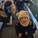 지축초등학교 | 지축동태권도 &#34;유치원 적응 문제, 친구관계, 자기주도학습까지 교육하는 공간&#34; [천명태권도]