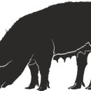 학구농장 이미지