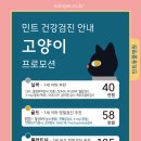 민트동물병원 | 신장·심장부터 호르몬까지! 민트고양이 건강검진 세부 항목 총정리