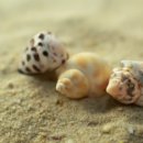 안경의집 목안 이미지