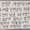 조아라투어