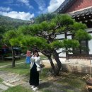 단촌 | 단양 숙소 추천 내돈내산 <단촌서원고택> 한옥 펜션 촌캉스 LP카페 바베큐까지!