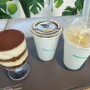 어반플랜트 수영 이미지