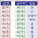 띠 동물의 순서는 어떻게 만들어 졌을까? 이미지