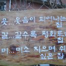 도함도예 이미지