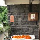 시종일관 | [제주] 한림 브런치 맛집 카페 협재 금능해수욕장 '시종일관' 후기ㅣ더치베이비ㅣ샌드위치