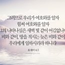 체크롯데월드몰점 이미지