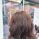 웜헤이즐