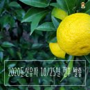 현옥농장 네이버블로그