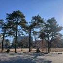 대우 약국 | 약값은 쌌지만 마음은 남지 않았어요 - 종로 보령약국 방문후기