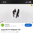 블링크로스터스 | 요즘 제 관심사는요 !
