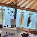 강화토종웅추삼계탕 | 송내 강화토종웅추삼계탕