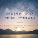 할매낙지마당