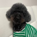 청암로48번길 이미지