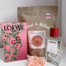 오투그린 세탁 | 세탁캡슐세제(왓아릴리프-토마토리프센트,바이애트패블) 내돈내산