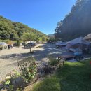 수동길 170 캠핑 이미지