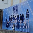 스완즈 | TWICE 6TH WORLD TOUR : THIS IS FOR 올콘 후기