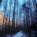 현리중앙의원 이미지