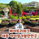 세종 아이랑가볼만한곳 '베어트리파크' 꽃과 곰이 있는 수목원 나들이 후기♥
