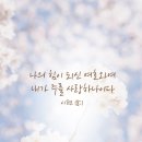 홀리씨즈교회 이미지