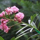 유케어종합동물병원 이미지