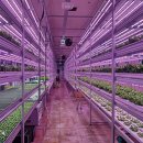 대형농장1호 이미지