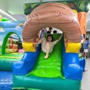 금모래 태권도장 이미지