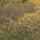 40. 문학상) 완보동물 / 김한규 by 최형만 이미지