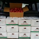 영준 농장 이미지