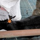 축산물시장(3) 이미지